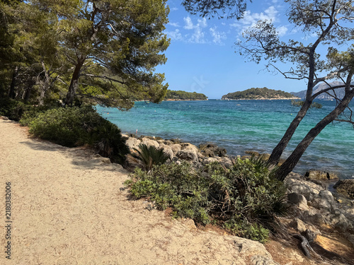 View through pine trees of a turquoise cove at Platja de Formentor, in the municipality of Pollença, on the island of Mallorca, Balearic Islands, Spain, with rocky cliffs enclosing the clear water.