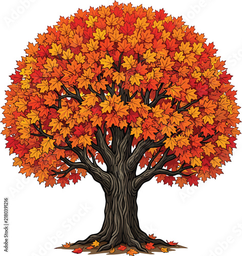 Autumn maple tree vector illustration with orange and red leaves red foliage fall season