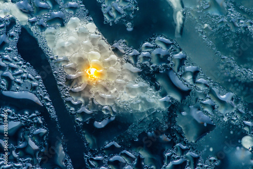 Foto Condensation droplets showing light refraction and surface tension