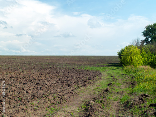 Принти на полотні A dirt road near a field on a clear day
