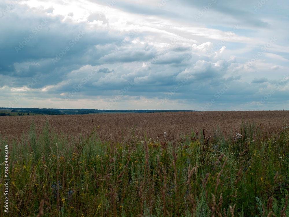 Obraz premium A ploughed field on a cloudy day