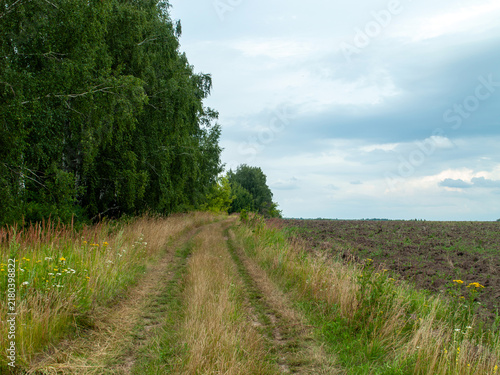 Obraz na plátně A dirt road near a field on a clear day