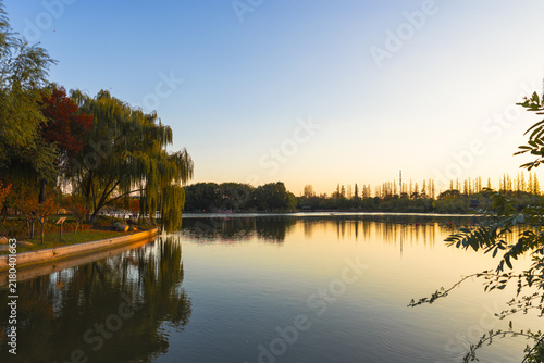 фотографія Serene lake at sunset with willow trees and reflections in a park