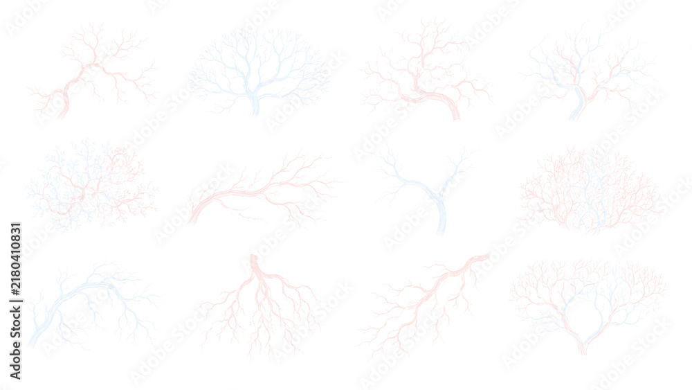 Fototapeta premium Set of human blood vessel and vein patterns. Collection of red and blue anatomical capillary structures on transparent background