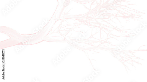 Foto Abstract pink blood vessels network on transparent background