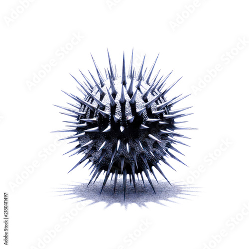 Spiky black and white hedgehog illustration isolated on white background