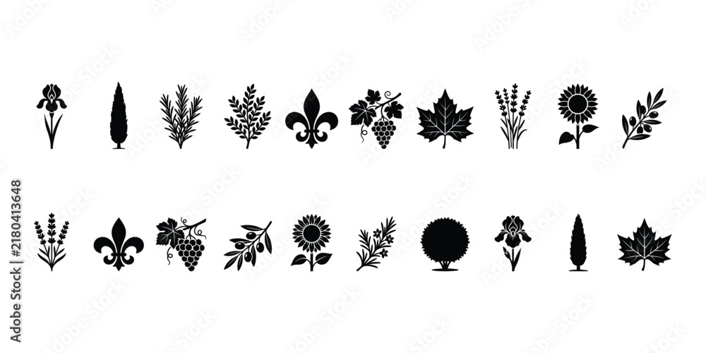 Fototapeta premium French Botanical Plants and Garden Foliage Silhouette Collection