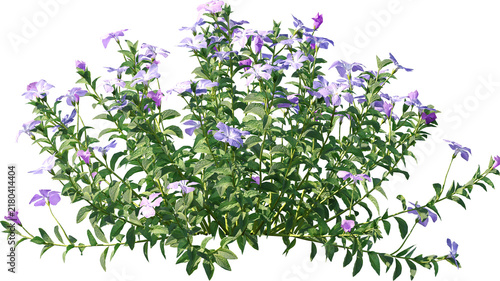 Plants PNG, Bushes PNG, Shrubs PNG, Greenery PNG, Tropical Plants, Garden Plants, Landscape Plants, Ornamental Plants, Decorative Plants, Outdoor Plants, Indoor Plants, Foliage PNG, Leafy Plants