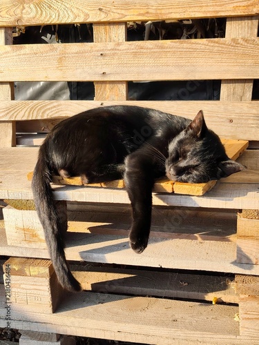 black cat is sleeping on a wooden bench