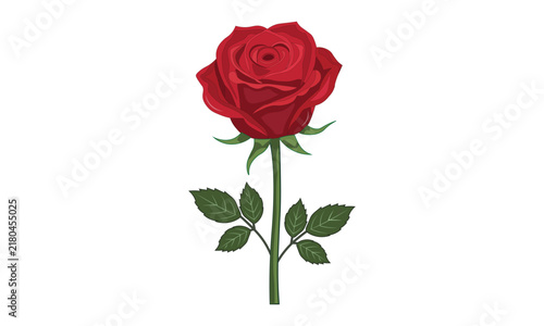 Hand-Drawn Red Rose with Green Stem and Leaves Vector, Valentine Love and Memorial Flower, Romance and Funeral Floral Graphic, Single Red Rose Illustration
