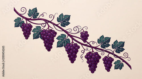 Illustration of bunch of grapes on vine