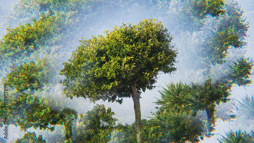 Central green tree surrounded by layered translucent foliage and repeated tree forms, creating surreal multiple exposure effect with colorful optical distortion