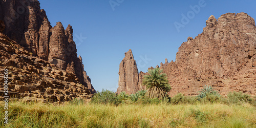 Saudi Arabia 
