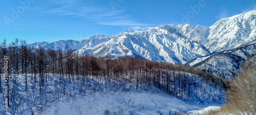 Принти на полотні A breathtaking panoramic view of a snow-covered mountain and ski resort under a