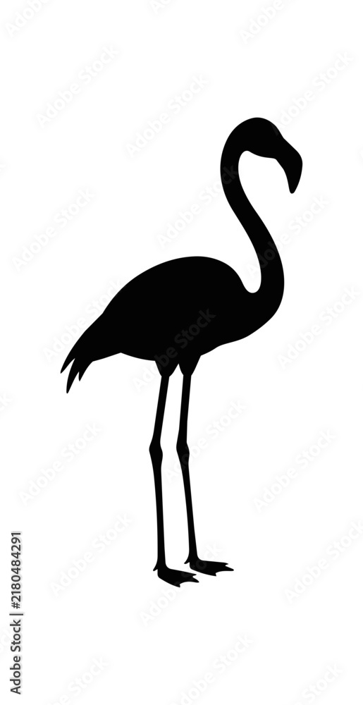 Obraz premium Silhouette of a graceful flamingo standing tall.