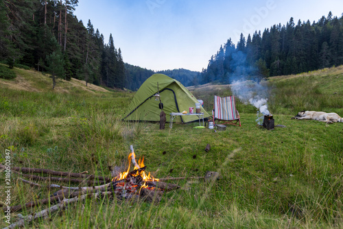 Konstfotografi A scenic outdoor campsite set in a lush green mountain meadow surrounded by dense evergreen pine trees