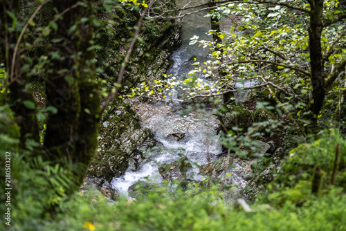 Konstfotografi Forest stream flowing through green mossy rocks