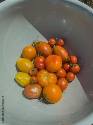 Assorted Heirloom Tomatoes in a Large Bowl