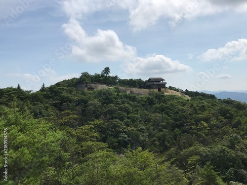Obraz na płótnie castle on the hill