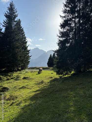 Photography landscape in the mountains