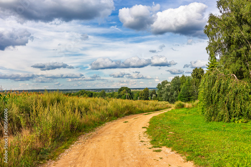 Dirt road winding through lush green grass and golden fields under a picturesque cloudy sky with towering trees creating a peaceful rural vibe for a summer countryside escape