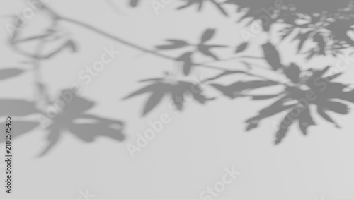 Tree branch and leaf shadow overlay. Leaves gobo light effect on blank wall.