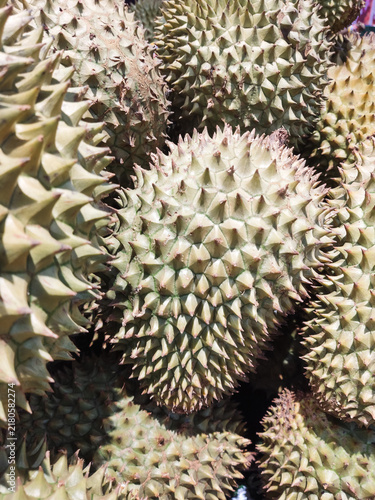 Принти на полотні Closeup of durian fruit with spiky texture outdoors