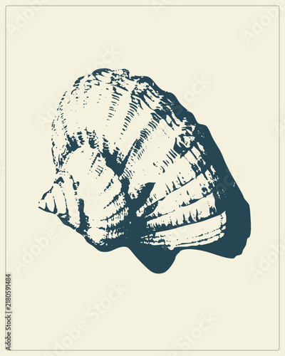 Photography Textured linocut of a sea snail in deep teal on cream