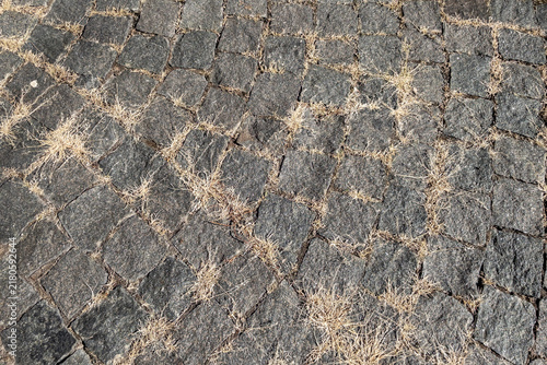 Granite cobblestone pavement surface texture with dry grass growing between stones