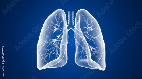 Transparent glowing human lungs anatomical model with bronchial tree, for medical, healthcare, and pulmonology concept