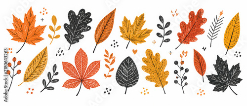 Funny autumn season leaf drawing illustration set. Hand drawn tree leave shapes on isolated background for kid education or fall concept.