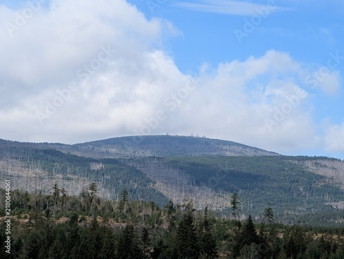Harz Brocken Ottofelsen