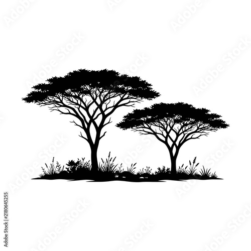 Black silhouette of two acacia trees on african savanna