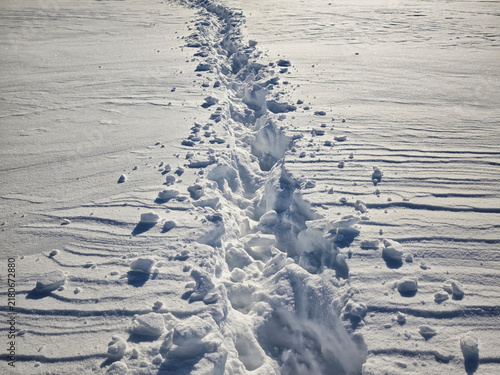 Footprints lead through fresh snow on an open field during a winter day in a quiet outdoor setting