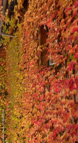 фотографія Autumn colors of Hallstatt