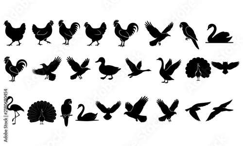 Bird Silhouette Collection