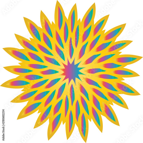 Vibrant Multi Color Radial Mandala Flower Vector