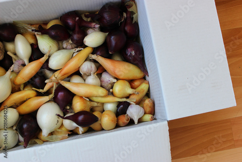 Scattered Mix of Garlic Bulbs and Various Types of Onions in Paper Box 
