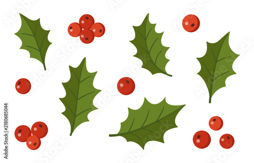 Pretty hand drawn Christmas holly leaves and berries vector set. Magnificent flat style isolated separate elements collection for diy craft project. Great for festive holiday pattern and card maker.
