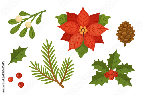 Splendid hand drawn Christmas floral elements vector set. Delightful flat style winter poinsettia mistletoe and holly collection isolated on transparent background. Perfect for holiday DIY craft.