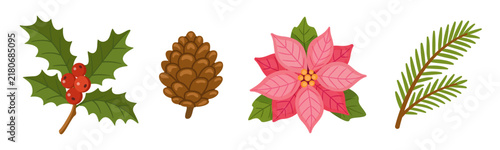 Exquisite hand drawn Christmas floral vector elements set. Charming flat style pink poinsettia holly berry fir branch and pine cone isolated on transparent background. Perfect for holiday card DIY.
