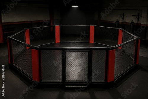 Empty octagonal MMA cage with punching bags in dim gym, combat sports training space
