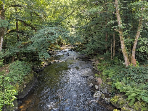 Calm and peaceful place to have a rest