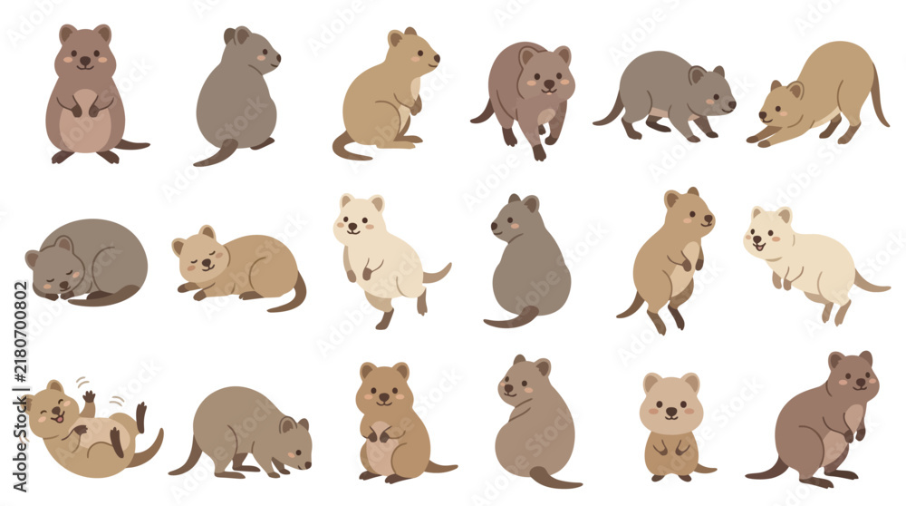 Obraz premium Set of cute quokka characters in various poses and activities isolated on white background.
