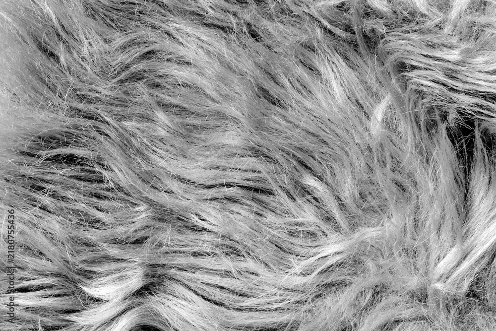 Obraz premium Transparent fur png texture collage element