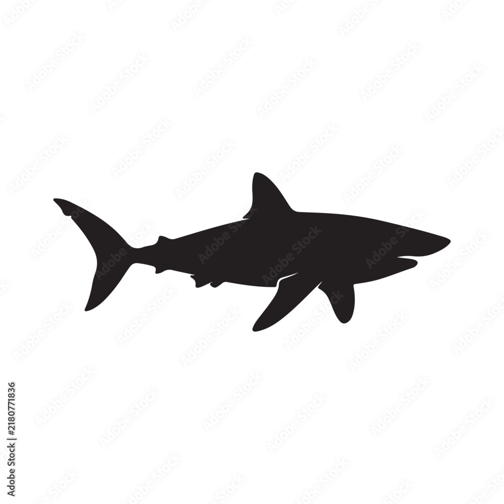 Obraz premium Shark silhouette swimming in dark water during a deep ocean exploration conceptualizing marine danger