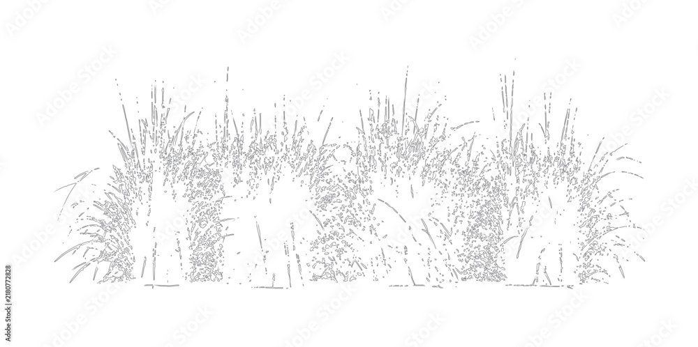 Fototapeta premium Distressed grass and garden hedge silhouettes with organic textures for landscape architecture rendering and outdoor scene decoration on transparent background.