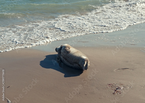 Obraz na płótnie Skagen, Denmark - 06