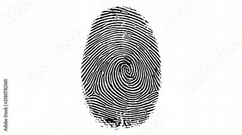 Detailed human fingerprint scan for biometric security and forensic identification systems.