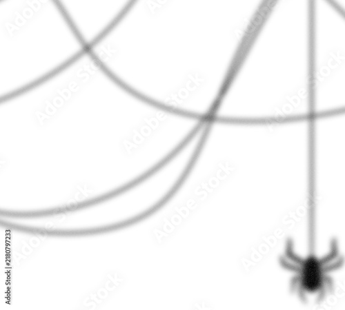 Spider Web Overlay